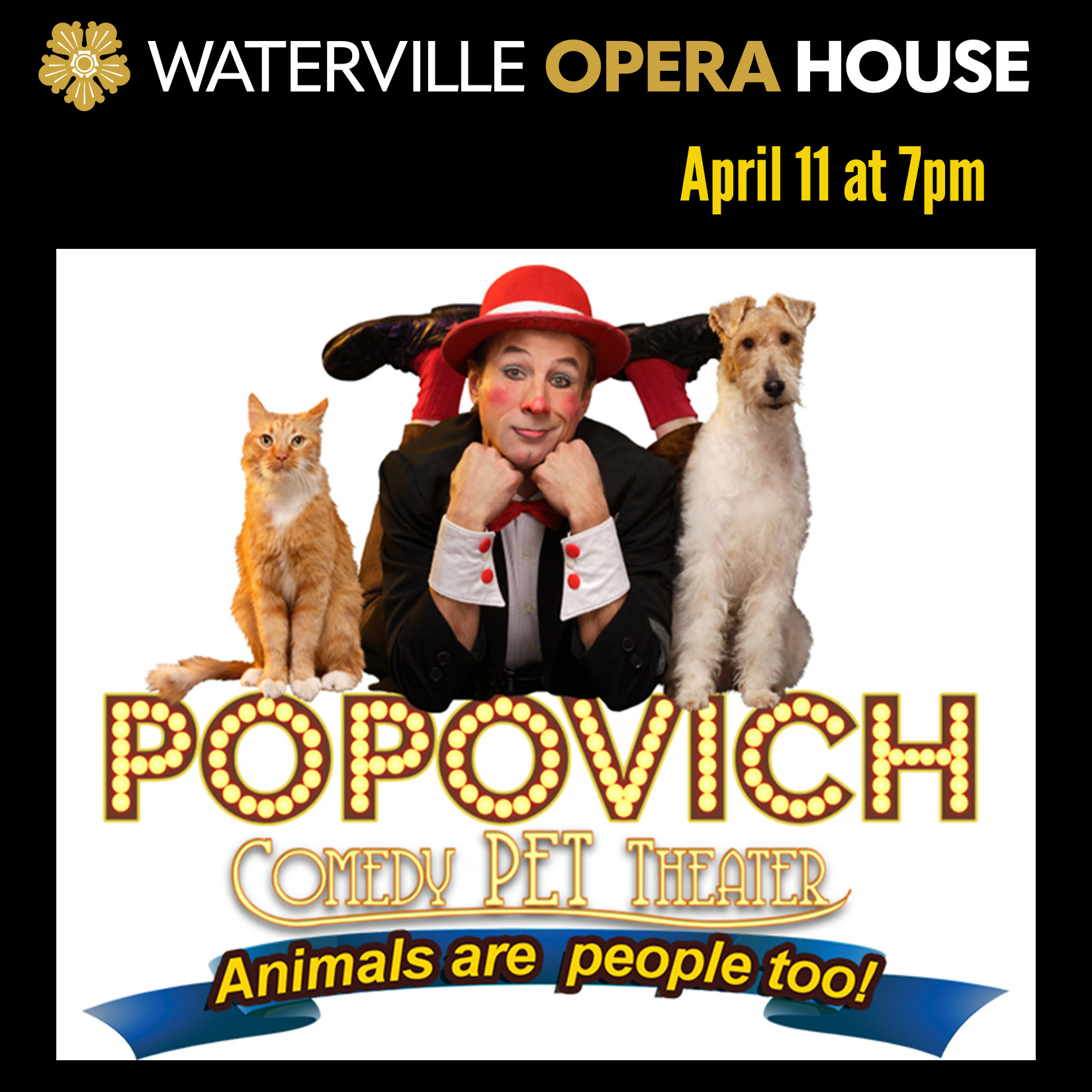 Popovich Comedy Pet Theater - Waterville Creates