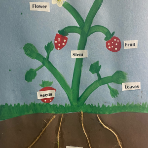 Hello, Spring! STEM Craft