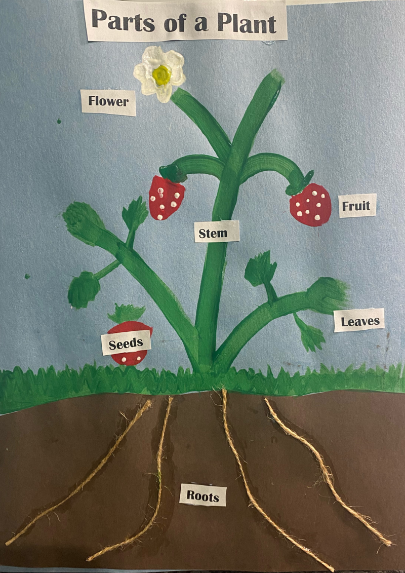 Hello, Spring! STEM Craft