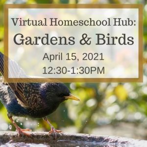 Virtual Homeschool Hub: Gardens & Birds